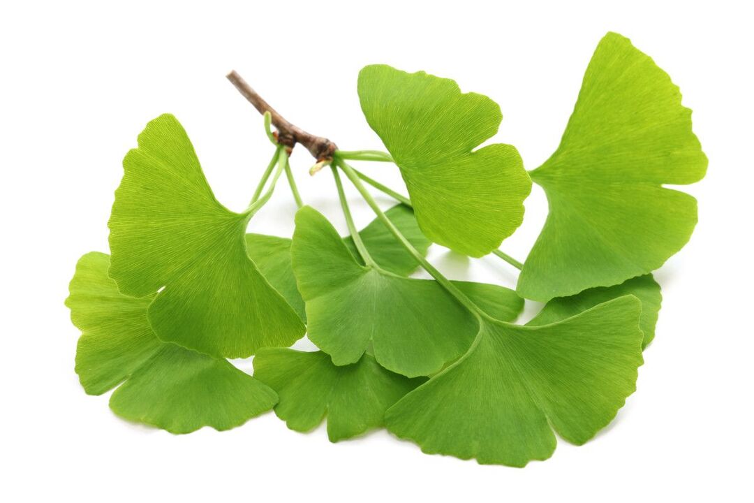 ginko biloba em gotas Alcozar